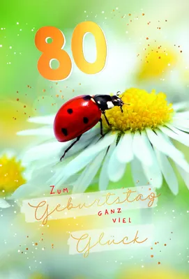 Produktbild von 80. Geburtstag  Karte mit Briefumschlag Marienkäfer auf Blüte, mit Goldfolie