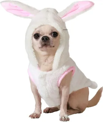 Produktbild von Hundekostüm Größe L Hase