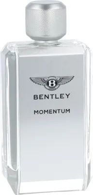 Obrázek produktu pro Bentley Momentum EDT 100 ml M