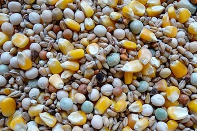Produktbild von Havens 4-Saisonfutter 25 kg
