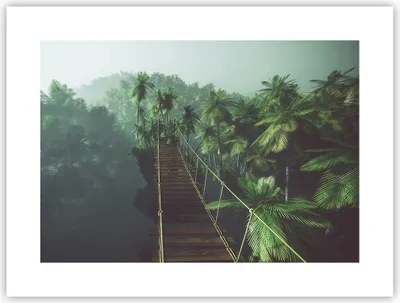 Produktbild von Poster - Poster ohne Rahmen - Dschungel Palme Brücke - 40x30 cm - Wand Bild - Wanddeko - Wandbilder - Kunstposter - Wandposter - Bilder - Kunstdruck - Wanddekoration - Wandbild - P2XAA40x30-3674