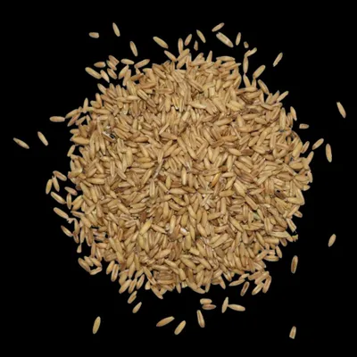 Produktbild von Haferkerne 25 kg