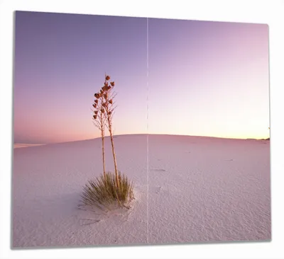 Produktbild von Wallario Herdabdeckplatte aus Glas, Größe 60 x 52 cm 2-teilig, Motiv Kleine Oase in der Wüste