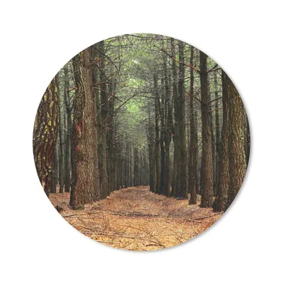 Produktbild von MuchoWow® Mauspad Mousepad Herbst - Dekoration - Wald 40x40 cm - Mousepads - Maus Mat - Pad - Mausunterlage - Schreibtisch Accessoires