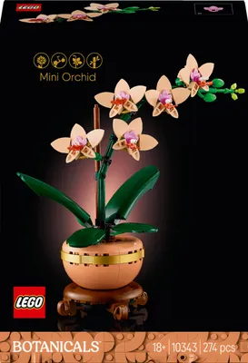 Zdjęcie produktu dla Lego 10343 Botanicals, Mała Orchidea, 274 elementy, dekoracja, doniczka 25 cm, terakota