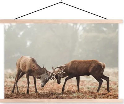 Produktbild von MuchoWow® Textilposter Hirsche - Wald - Gras 60x40 cm mit holzfarbenen Rahmen - Bilder