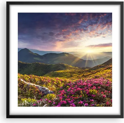 Produktbild von Gerahmtes Poster - Schwarzer Rahmen - Gebirge Wiese Landschaft Wald - 50x50 cm - Wand Bild - Wanddeko - Wandbilder - Wandposter - Bilderrahmen - Bilder - Kunstdruck - Wandbild - P2BAC50x50-3152