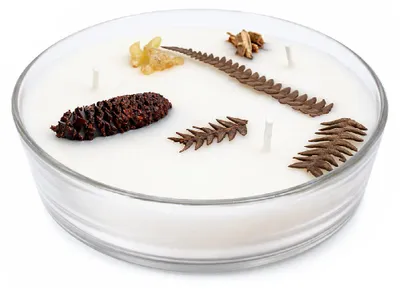 Obrázek produktu pro Song of India Botanicals - Balsam Cedarwood