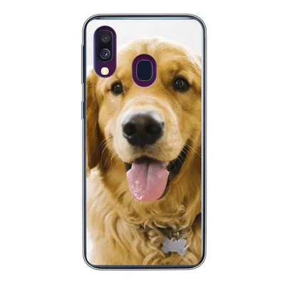 Produktbild von MuchoWow® Handyhülle Schutzhülle Hülle für Samsung Galaxy A40 Porträt eines superschönen Golden Retrievers Silikon Softcase Handy Hülle - Handy-Tasche