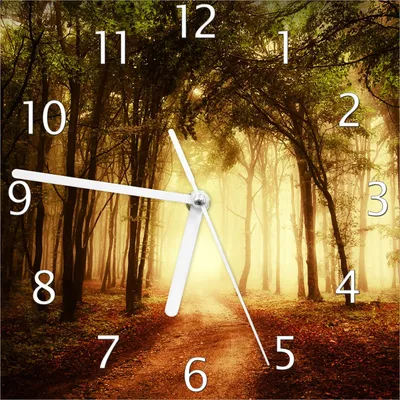 Produktbild von Wallario Design Wanduhr Sonnenuntergang auf dem Waldweg aus Echtglas, Größe 20 x 20 cm