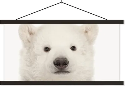 Produktbild von MuchoWow® Textilposter Eisbär - Tiere - Weiß - Kinder - Jungen - Mädchen 90x45 cm mit schwarzem Rahmen - Klemmleisten
