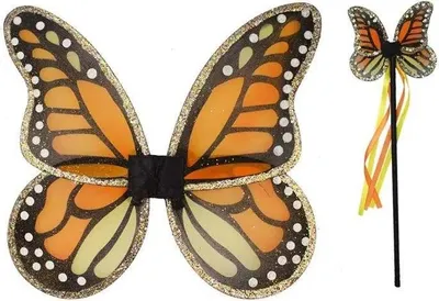 Produktbild von Flügel-Set Monarch