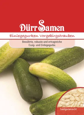 Artikelbild 1 von 'Einlegegurke Vorgebirgstrauben' aus der Kategorie Gurkensamen
