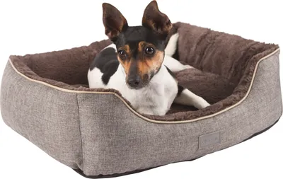 Produktbild von Kerbl Hundebett Kuschelbett Samuel, silber/dunkelbraun, 60x50x17cm; 81316