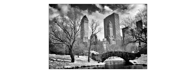 Produktbild von Muralo Fototapete Stadt NY 315 (B) x 210 (H) cm Vlies Tapete Wandtapete Fluss New York Park Brücke Wolkenkratzer Wohnzimmer Schlafzimmer moderne Wandbild Architektur Wand Dekoration