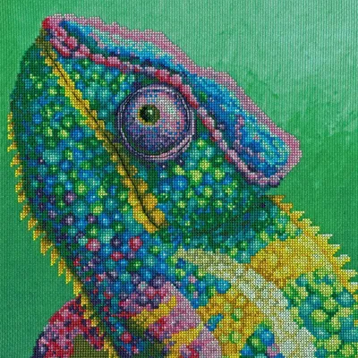 Obrázek produktu pro Souprava křížkového stehu Bothy Threads "The Menagerie: Illusion", počítaný vzor, XRF2, 26x26cm