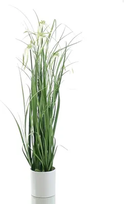 Produktbild von GASPER Sternsegge Weiß im weißen Melamintopf ca. 62 cm - Kunstpflanzen