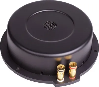 Produktbild von Reckhorn BS-200i goldene Anschlüsse Bassshaker inkl. 4 x G-44 Gummiblöcke Körperschallwandler Bass Shaker Bodyshaker Bassbody Butt Kicker Heimkino Körperschallerzeuger
