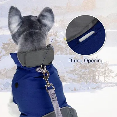 Image de Veste d'hiver imperméable pour chiens, réfléchissante, chaude, bleue