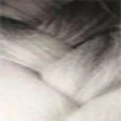 Produktbild von X-Pression 2x Pre-Stretched Braids 46' (116cm), Farbe:T1B/WHITE (OMBRE Schwarz/Weiß)