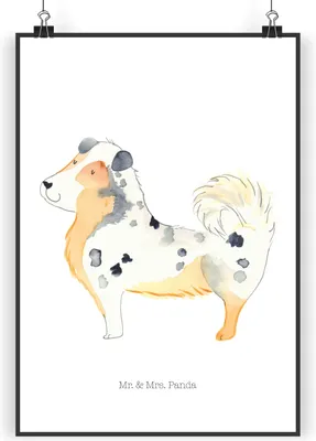 Produktbild von Mr. & Mrs. Panda Bild Hund Australien Shepherd DIN A5 - Weiß - Geschenk, wanddeko, Kunstdruck, Spruch, drucke, Sprüche, Plakat, Wandbild
