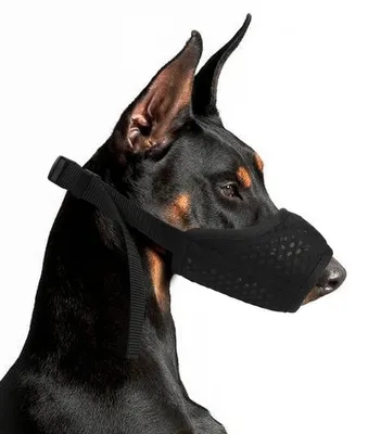 Immagine prodotto di Museruola per cani, traspirante, in rete, colore nero