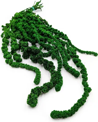 Produktbild von Stabilisiertes Amaranth Ball - Amaranth - Grün
