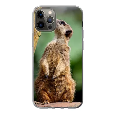 Produktbild von MuchoWow® Handyhülle Schutzhülle Hülle für iPhone 12 Pro Erdmännchen - Tier - Rock Silikon Softcase Handy Hülle - Abdeckung
