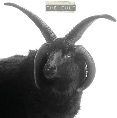 Productafbeelding van The Cult: The Cult: The Cult (Limited Edition) (Ivory Vinyl) - Beggars UK - (LP / T)