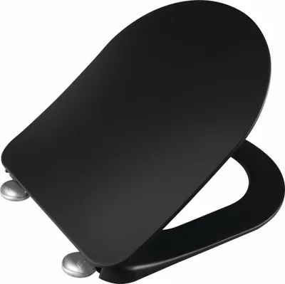 A black toilet seat is shown from a diagonal angle against a white background.
