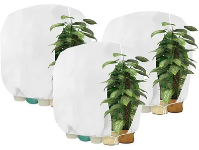 Produktbild von Winterschutz für Pflanzen 190x220cm Weiß 3 Stück