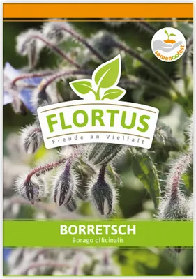 Produktbild von Borretsch | Borretschsamen von FLORTUS