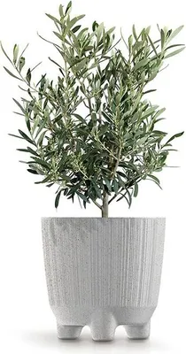 Immagine prodotto di Vaso da fiori 16,8 cm RYFO N ECO WOOD DRF170NW-S449W plastica bianca PROSPERPLAST