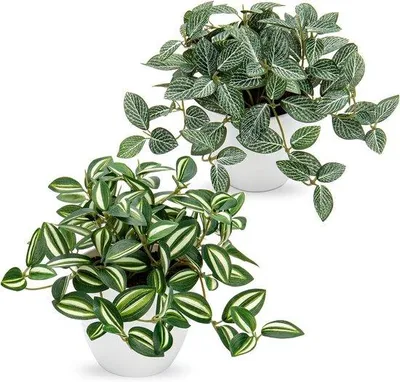 Produktbild von Realistische Kunststoffsammlung: Wohnzimmerdeko 2er Set - Grün - 18 cm Höhe