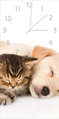 Produktbild von Wallario Design Wanduhr bedruckt, Größe 30 x 60 cm, Motiv: Katze und Hund in Harmonie - Kuschelnde Tiere