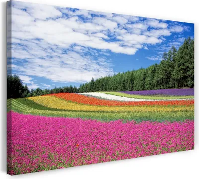 Produktbild von Leinwandbild (100x70cm): Blumenwiese mit vielen Farben wie ein Regenbogen (pink, gelb, rot, weiß), echter Holz-Keilrahmen inkl. Aufhänger, handgefertigt in Deutschland