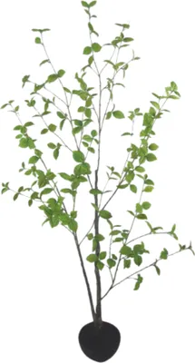 Produktbild von Silk-ka Künstliche Zimmerpflanze Grün 170 cm