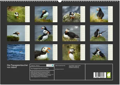 Produktbild von Die Papageientaucher von Island (Wandkalender 2026 DIN A2 quer), CALVENDO Monatskalender