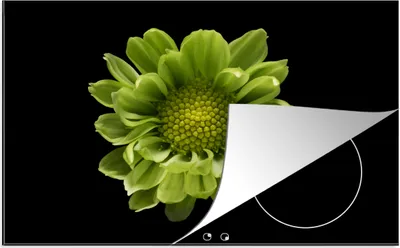 Produktbild von KitchenYeah© Herdabdeckplatte Eine Nahaufnahme der Chrysanthemenblüte vor schwarzem Hintergrund , 80x52cm, Küche Deko, Glaskeramikkochfeld Herdabdeckung, Abdeckplatte fùr Kochfeld