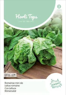Produktbild von Salat Little Gem | Salatsamen von Hortitops