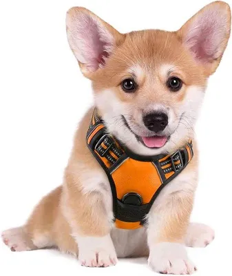 Produktbild von Famanu Hundegeschirr, reflektierend und atmungsaktiv - Verstellbar für große, mittelgroße und kleine Hunde