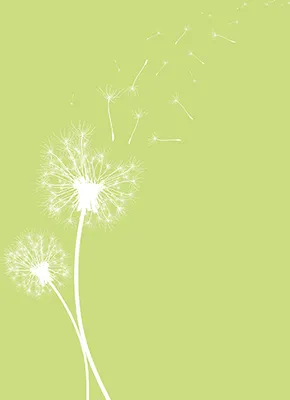 Produktbild von 20 Servietten, 3-lagig 1/4-Falz 40 cm x 40 cm limonengrün "Dandelion"