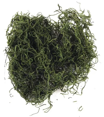 Immagine prodotto di Rayher, muschio artificiale "Dschungelmoos", verde, confezione da 20 grammi, ideale per decorazioni, lavori manuali e fioristi, codice prodotto: 850
