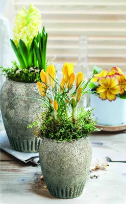 Produktbild von B & S Blumenkübel Gartendeko Keramik Vase Amphore Antik Shabby Steinoptik H 23 cm Rund