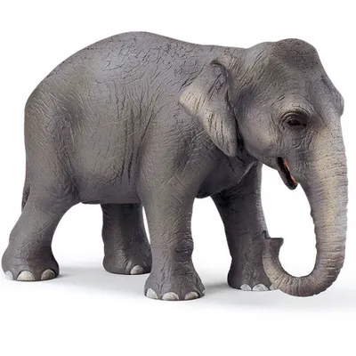 Obrázek produktu pro schleich 14344, 3 rok/roky, Šedá, Plast