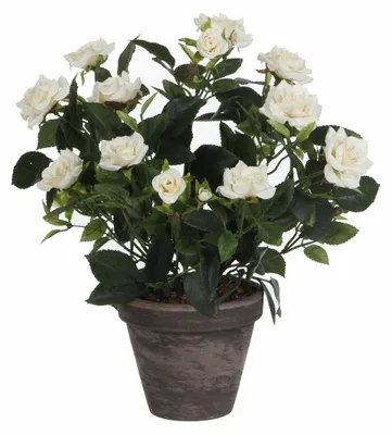 Obrázek produktu pro Mica Decorations Umělá rostlina keř růže v květináči Stan - V33 x Ø25 cm - bílá