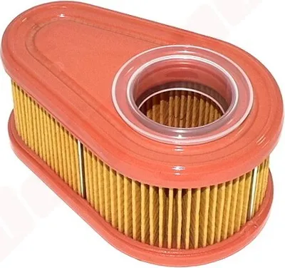 Immagine prodotto di Filtro aria per Briggs & Stratton Dov 700 ( 792038 , 790388 ) 120X77X55
