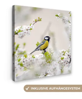 Produktbild von MuchoWow® - Leinwandbilder - Vogel - Kohlmeise - Blumen - Blütenbaum, Wandbild, Wanddeko Bilder Wohnzimmer, 50x50 cm