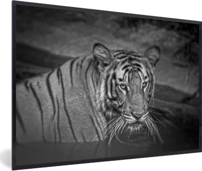 Produktbild von MuchoWow® Gerahmtes Poster Tiger - Wasser - Schwarz - Weiß 30x20 cm - Poster mit Schwarzem Bilderrahmen Wandposter Rahmen Foto Bilder - Kunstdruck - Bild-Poster