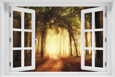 Produktbild von Wallario Wandbild mit Fenster-Illusion: Sonnenuntergang auf dem Waldweg, Größe: 61 x 91,5 cm, Poster mit rahmenlosen Bildhalter
